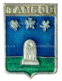 Значок Тамбов