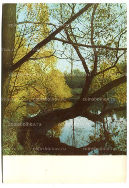 Открытка Музей-усадьба Ясная Поляна. Большой пруд