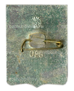 Значок Джанкой