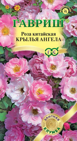 Роза китайская Крылья ангела 5шт. (Гавриш)