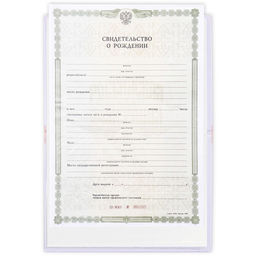 Папка для свидетельства о рождении Первый документ, нежная, А5 - Долго и счастливо фото 5