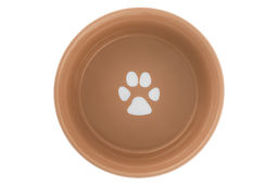 Набор 2 мисок для домашних питомцев 400 мл 13,5*13,5*5 см Лапка на бежевом и сердечки керамика - Elan gallery фото 12