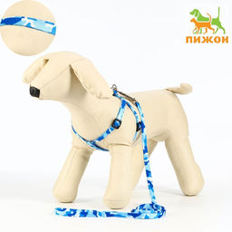 Комплект Камуфляж, капрон, поводок 120 х 1 см, ОГ 21-35 см, сине-голубой