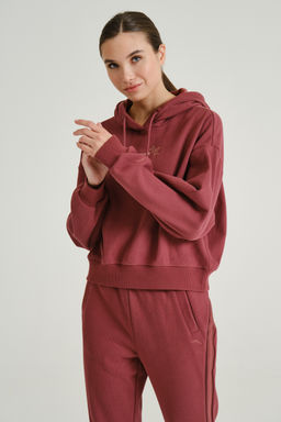 Худи утепленное Красный ICONIC Sweat Hoodie