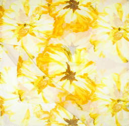 Палантин - Mellizos фото 2