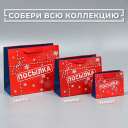 Пакет подарочный новогодний ламинированный «Посылка для тебя», MS 18 х 23 х 10 см