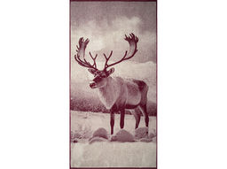 Полотенце махровое 6с102.413ж1 Фото-олень(кр.дерево1) 81х160см