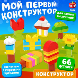 Конструктор Фигуры, 66 деталей