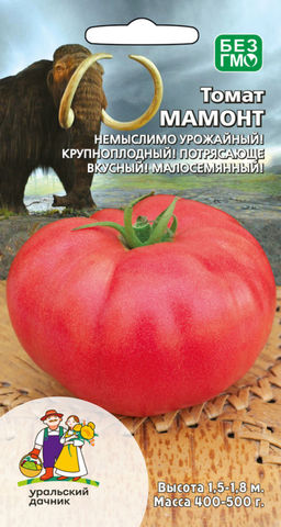 Томат МАМОНТ  Немыслимо урожайный! Крупноплодный! Потрясающе вкусный! Малосемянный!