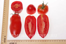 Томат Царское Искушение - Партнер фото 7