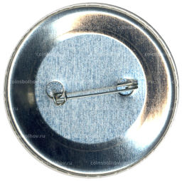 Значок Я выбрал Мэра!