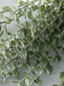 Цветы искусственные «Эвкалипт цинерия», h=53 см, зелёные