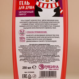 Winter Melody, гель для душа, 250 мл, черничный пирог - URAL LAB фото 7