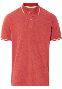 Мужская футболка-поло LIVERGY  фото 7