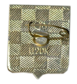 Значок Арзамас