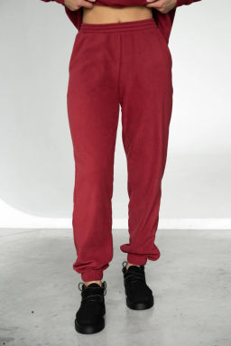 Джоггеры БР 388о-12 Винный - T.C.T фото 4