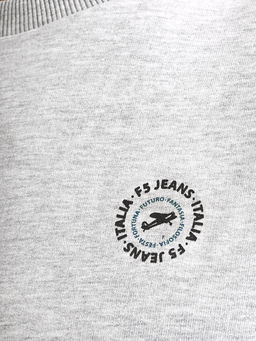 Толстовка мужская _ 05198 - F5 фото 4