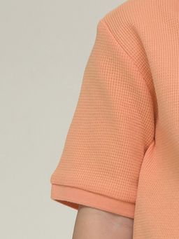 Pelican BFTP3321/1 футболка для мальчиков  фото 4