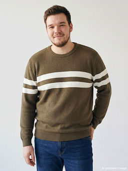 Bisiklet Yaka ?izgili Erkek Triko Kazak