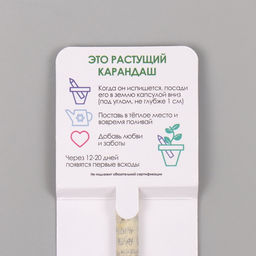 Цена за 2 шт. Растущий карандаш подарочный «Паприка», mini, простой чернографитный