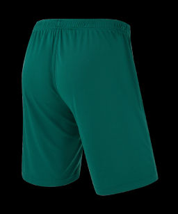 Шорты игровые JOGEL CAMP Classic Shorts, темно-зеленый  фото 3