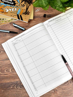 Классный журнал 10-11 класс арт. 5193