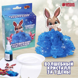 Набор для творчества. Лучистые кристаллы Зайчик