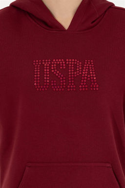 Женская базовая толстовка с капюшоном вишневого цвета Неожиданная скидка в корзине - U.s. polo assn фото 6
