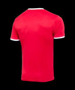 Футболка футбольная JOGEL CAMP Origin, красный/белый, детский