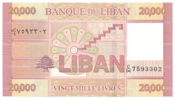 20000 ливров 2014 года