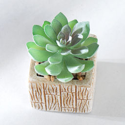 Цветочная композиция Кактус / WER-15 /уп 12/288/ микс - Галеонтрейд фото 23