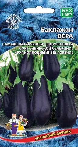 Баклажан ВЕРА  Сорт селекции Западно-Сибирской овощной опытной станции из г. Барнаул! Неприхотлив, без горечи!