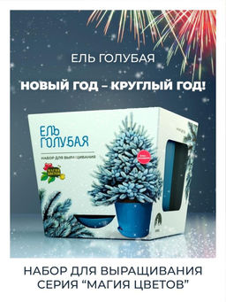 Набор д/выращивания растений "Магия цветов", "Ель голубая"