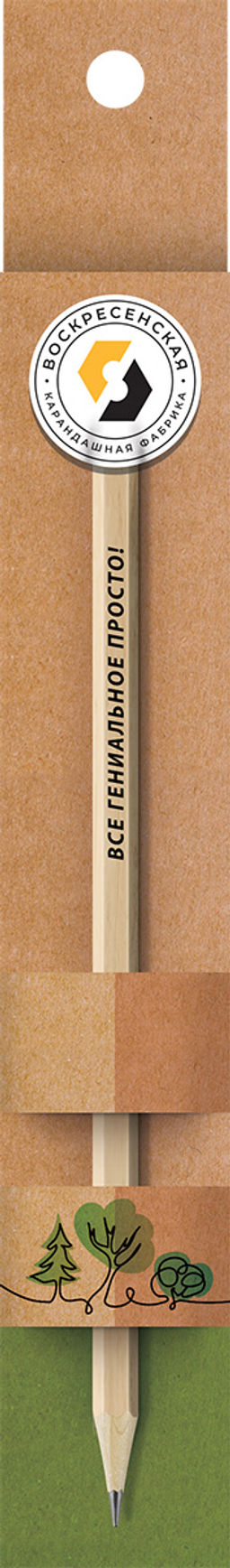 ВКФ Карандаш со смешными фразами SUV-032 Карандаш графитный заточенный ТМ (HB) 4 шт. все гениальное просто