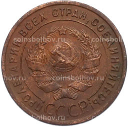 Монета 1 копейка 1924 года