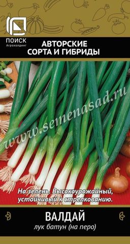 Лук батун Валдай(А) (ЦВ) 1гр.