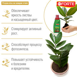 Компл. мин. удобр. "Bona Forte Красота" Для декоративно-лиственных растений фл.285мл