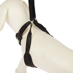 Шлейка регулируемая дышащая, светоотражающая, размер XL (ОШ 48-68; ОГ 58-72 см), чёрная - Пижон фото 2