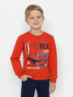 CRB wear/CWKB 63709-29-387 Джемпер для мальчика,терракотовый/Ex.Cherubino