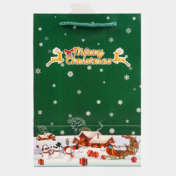 Цена за 2 шт. Пакет подарочный ламинированный с окном «Новый Год», тиснение, 18×25×13 см, зеленый