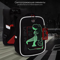 RAw-497-10 Рюкзак школьный - Grizzly фото 40