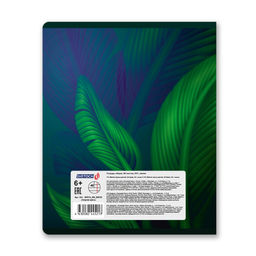 Светоч 48ТЕТл-004 Тетрадь ученическая общая, глянцевая ламинация, A5 48 л. на скобе 65 г/кв.м , белизна 100 % 10 шт. линия 000763 Энергия цвета фото 9