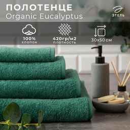 Полотенце махровое Этель Organic Eucalyptus 30х50 см, 100% хл, 420гр/м2