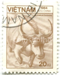 Марка Буйвол водяной 1984 год Вьетнам