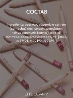 Карандаш для губ Stellary деревянный корпус тон 06 coral 1.2 г фото 8
