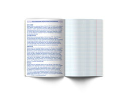 Светоч 48ТПСК5_24_2_2 Тетрадь со справочным материалом ПреКрасная, матовая ламинация + выборочный лак, A5 48 л. на скобе 65 г/кв.м , белизна 100 % 10 шт. , линия 000552 Литература  фото 5