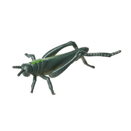 Игровой набор ABtoys Юный натуралист в тубе Насекомые