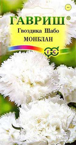 Шабо Монблан гвоздика 0,05гр (г)