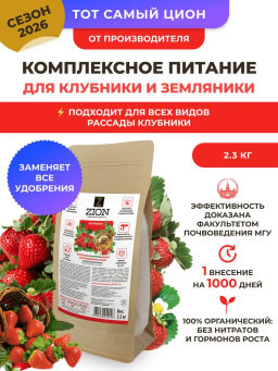 ЦИОН для клубники (пролонгированное питание для растений), 2 кг