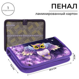 Пенал школьный, 1 секция, 11.5×20.5×3 см «Совушка»